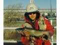 A channel catfish from the Nanticoke Generating Station, Lake Erie, Ontario