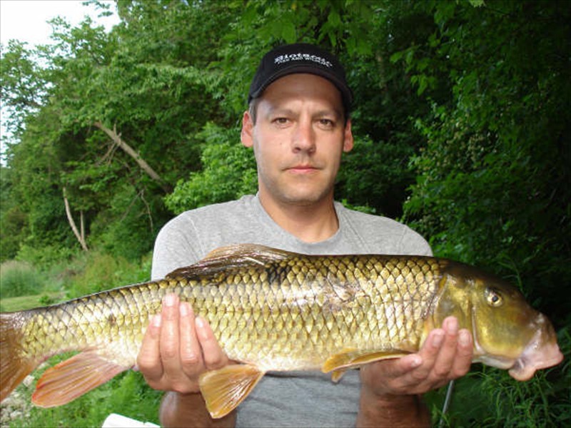 A Greater Redhorse from the Grand River, Kitchener, Ontario