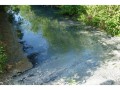 A sulphur spring in Buckhorn Creek near the Binbrook reservior, Hamilton, Ontario