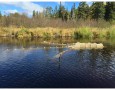 Fyke netting for Common Shiners, Amikougami Creek, Kirkland Lake