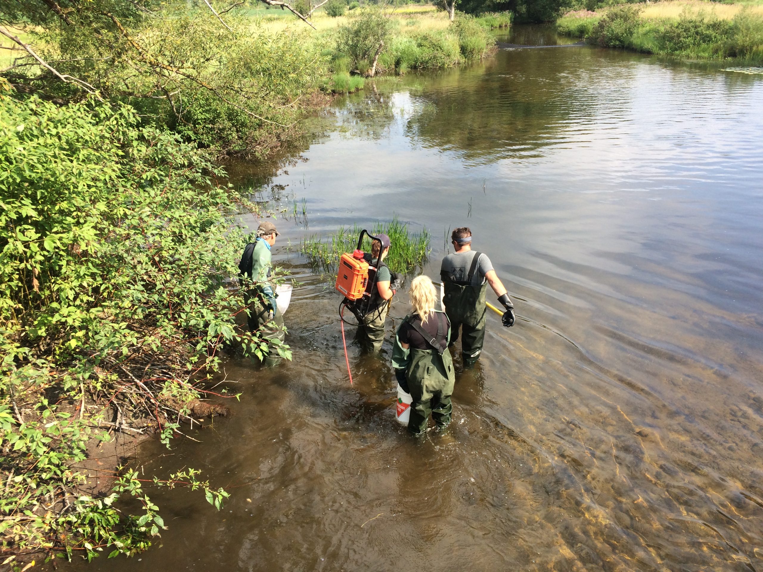 Fish Monitoring and Habitat Assessment | Biotactic Inc.